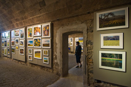 2009 Photo Contest Winners